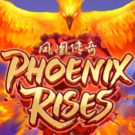 Phoenix Rises